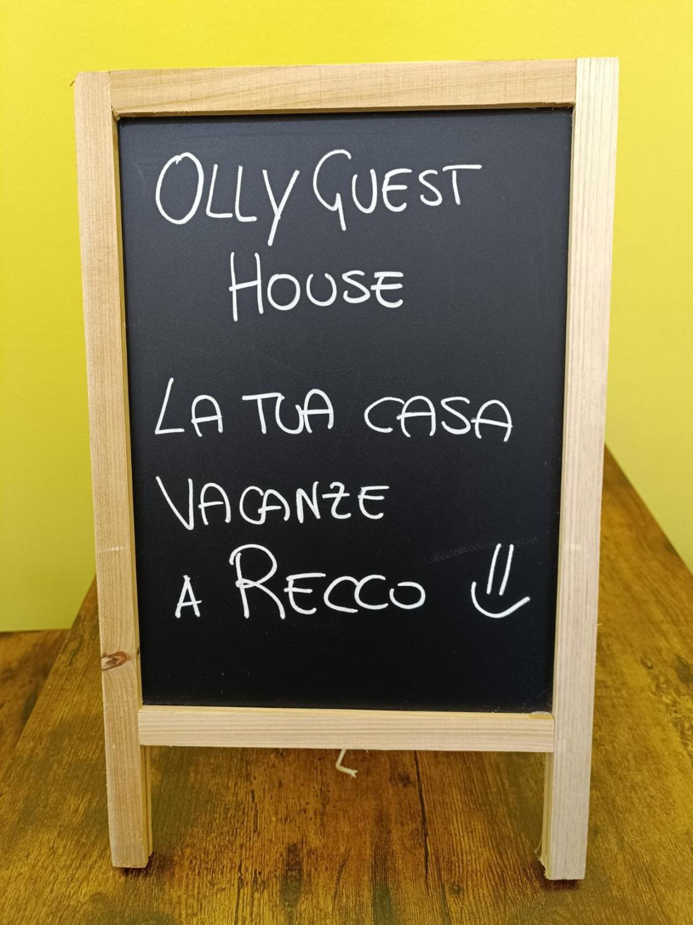 Olly A - Golfo Paradiso * Recco